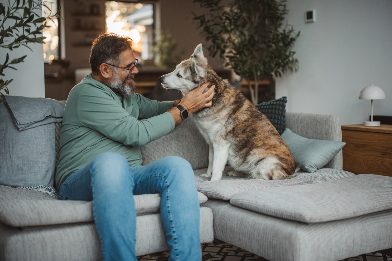 Your pets are like family here, Senior Living Tacoma